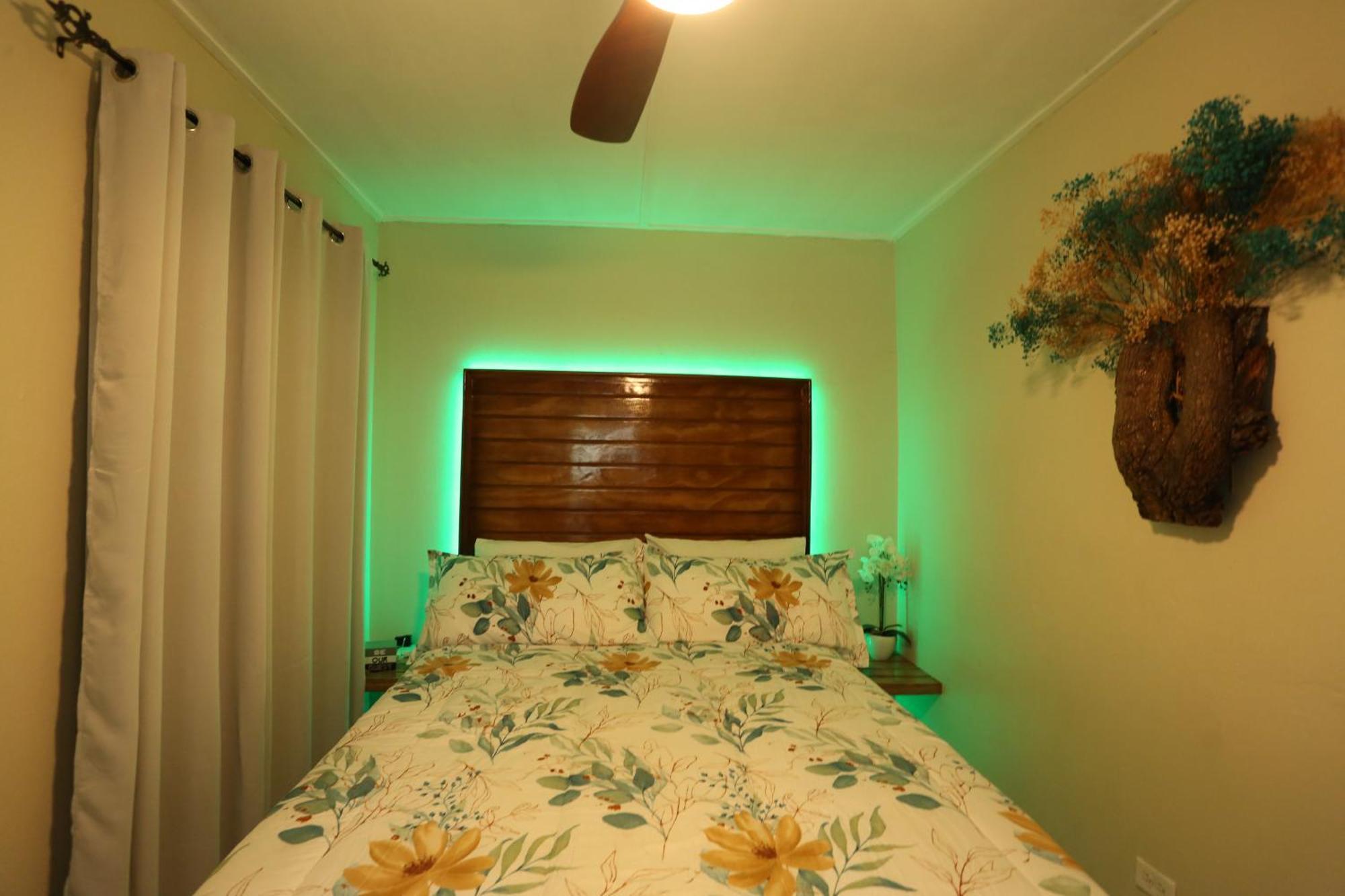 Hidden Gem Appartement Kingston Buitenkant foto